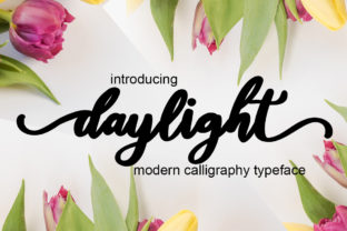 Daylight Handwritten Font for Campaign Design
