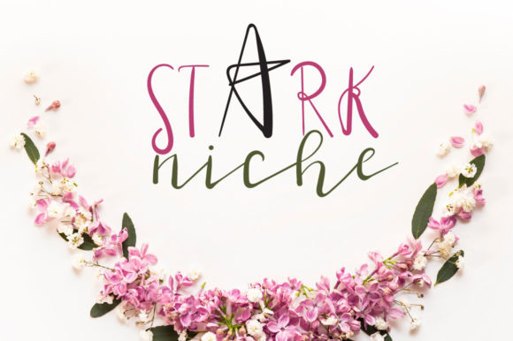 Stark Niche: The Playful Script Handwritten Font for Authentic Branding